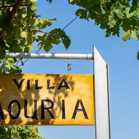 Villa Mouria Pinakokhorion Extérieur photo